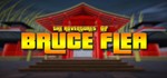 The Adventures of Bruce Flea STEAM KEY REGION FREE