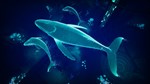 Breath Of The Depth STEAM KEY REGION FREE GLOBAL ROW *