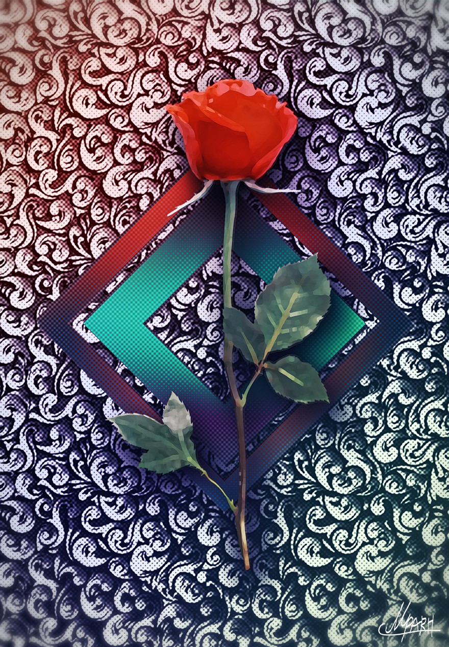 Buy Red Rose cheap, choose from different sellers with different