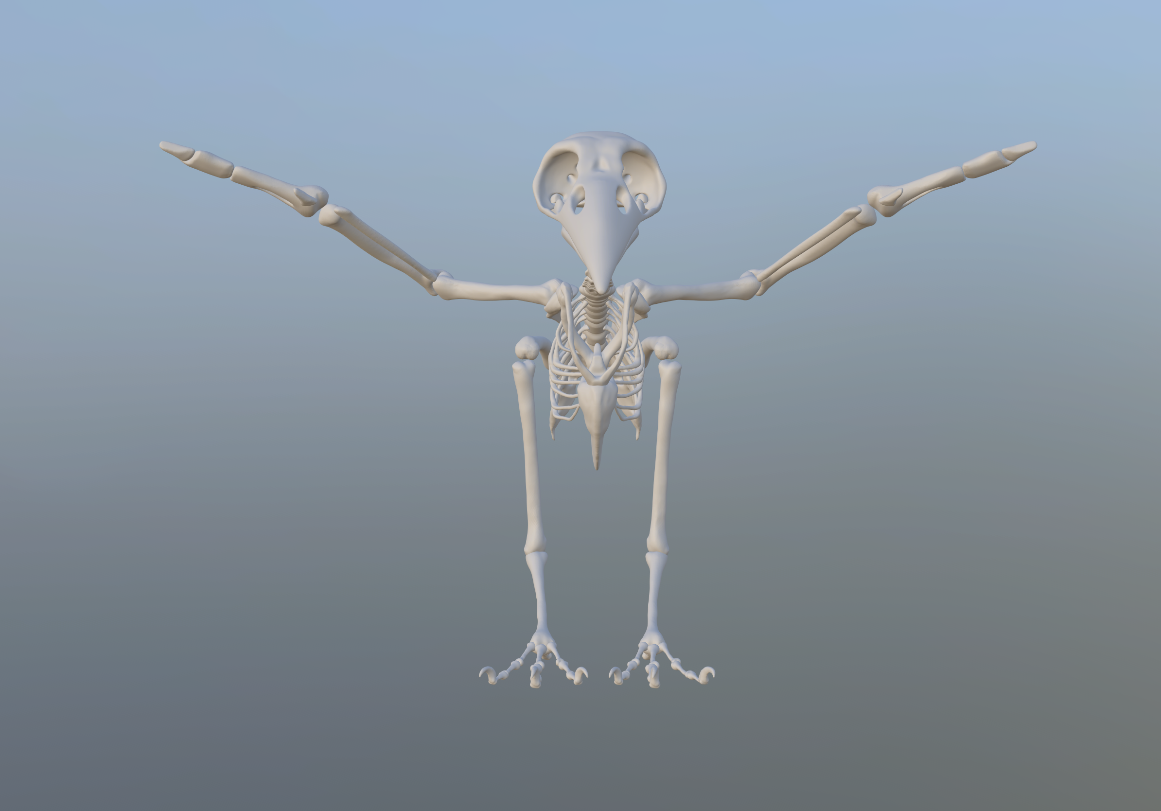 Скелет птицы ворон. Скелет ворона. Скелет вороны. Ворон скелет.