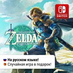 * The Legend of Zelda: Tears of the Kingdom | Switch