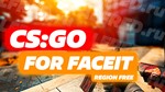 ИгрыИгровые аккаунтыCS:GOCS:GO 500 ЧАСОВ ⭐Для FACEIT.com ❤️ +Steam Ключ |кс го