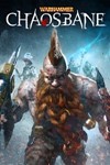 Warhammer: Chaosbane Xbox One & SERIES ключ🔑