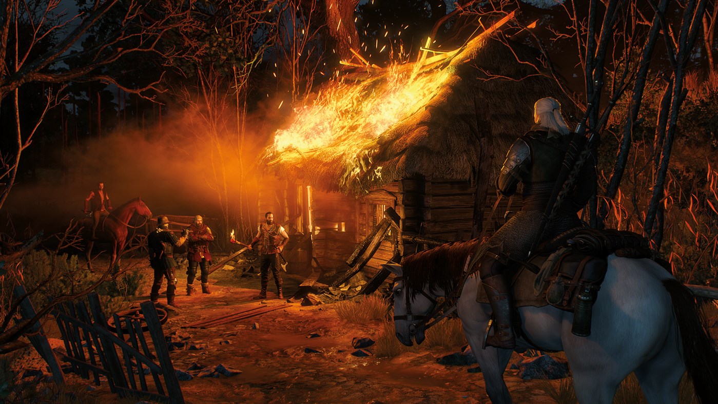 The witcher 3 wild hunt картины вандер хууя