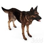 German Shepherd Dog - irongamers.ru