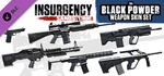 Insurgency: Sandstorm - Black Powder Weapon Skin Set