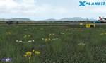 X-Plane 11 - Add-on: FSDG - Graz DLC * STEAM RU*
