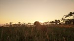 Animalia Survival * STEAM РОССИЯ*АВТОДОСТАВКА