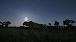 Animalia Survival * STEAM РОССИЯ*АВТОДОСТАВКА