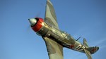 IL-2 Sturmovik: La-5F series 38 Collector Plane DLC