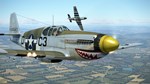 IL-2 Sturmovik: Battle of Normandy DLC * STEAM RU*