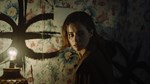 Erica * STEAM РОССИЯ*АВТОДОСТАВКА