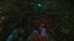 The Cursed Forest * STEAM РОССИЯ*АВТОДОСТАВКА