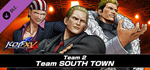 KOF XV DLC Characters "Team SOUTH TOWN" * STEAM RU*