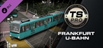 Train Simulator: Frankfurt U-Bahn Route Add-On DLC