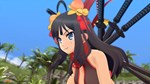 SENRAN KAGURA ESTIVAL VERSUS - Shinobi Pack DLC