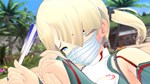 SENRAN KAGURA ESTIVAL VERSUS - Surprise Pack DLC