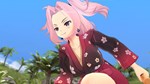 SENRAN KAGURA ESTIVAL VERSUS - Splash Pack DLC