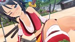 SENRAN KAGURA ESTIVAL VERSUS - Splash Pack DLC