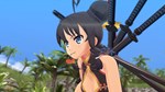 SENRAN KAGURA ESTIVAL VERSUS - Spray Pack DLC
