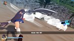SENRAN KAGURA ESTIVAL VERSUS - Ikki T*sen DLC