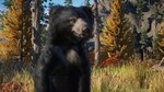 Planet Zoo: Eurasia Animal Pack DLC * STEAM RU*