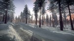 DiRT Rally 2.0 - Sweden (Rally Location) DLC