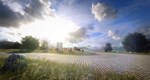 DiRT Rally 2.0 - Germany (Rally Location) DLC