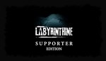 Labyrinthine Supporter Edition DLC * STEAM RU*