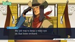 Ace Attorney Turnabout Collection * STEAM RU🔥 - irongamers.ru