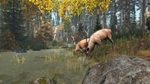 DayZ Cool Edition * STEAM RU*KZ*UA*СНГ*АВТОДОСТАВКА
