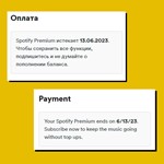 📀 SPOTIFY PREMIUM • 12 MONTHS • ANY COUNTRY - irongamers.ru