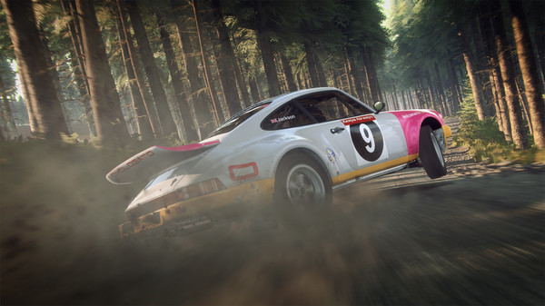 DiRT Rally 2.0 Deluxe Edition | Steam Russia