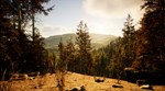 Gold Hunter | Steam Gift Россия