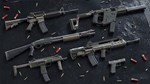 Insurgency: Sandstorm - Two-Tone Weapon Skin Set DLC |