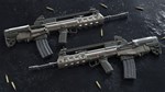 Insurgency: Sandstorm - Two-Tone Weapon Skin Set DLC |