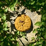 Cookie Clicker Soundtrack | Steam Gift Россия