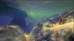Feed and Grow: Fish*АВТОДОСТАВКА Steam RU/BY/KZ/UA