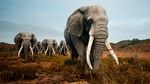 Animalia Survival | Steam Gift Россия