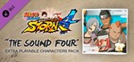 NARUTO SHIPPUDEN: Ultimate Ninja STORM 4 - The Sound Fo