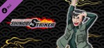 NTBSS: Master Character Training Pack - Might Guy DLC |