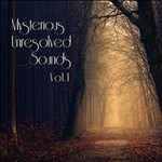 RPG Maker VX Ace - Mysterious Unresolved Sounds Vol.1 D