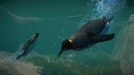 Planet Zoo: Aquatic Pack DLC | Steam Gift Россия