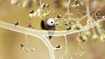 Botanicula*АВТОДОСТАВКА Steam Россия