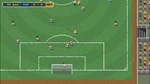 Tiny Football*АВТОДОСТАВКА Steam Россия