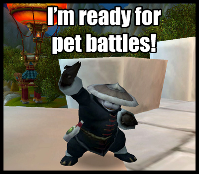 ПАНДАРЕН-МОНАХ | Pandaren Monk Pet | Панда Кунг Фу Пет