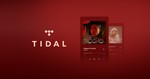 🎙🌞🌼Tidal HIFI+ DJ addon|🌼🌞🎙| RENEWAL|ANY REGION💯 - irongamers.ru