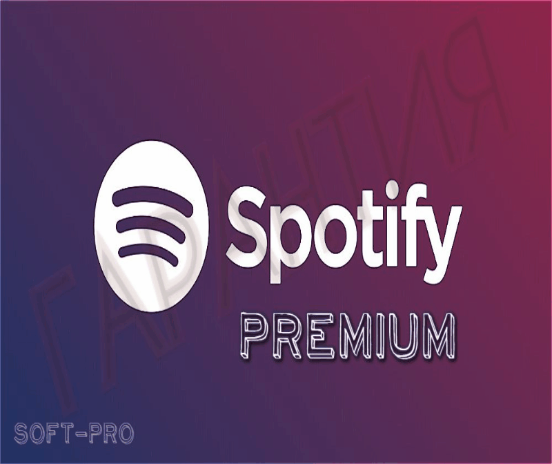 spotify subscription