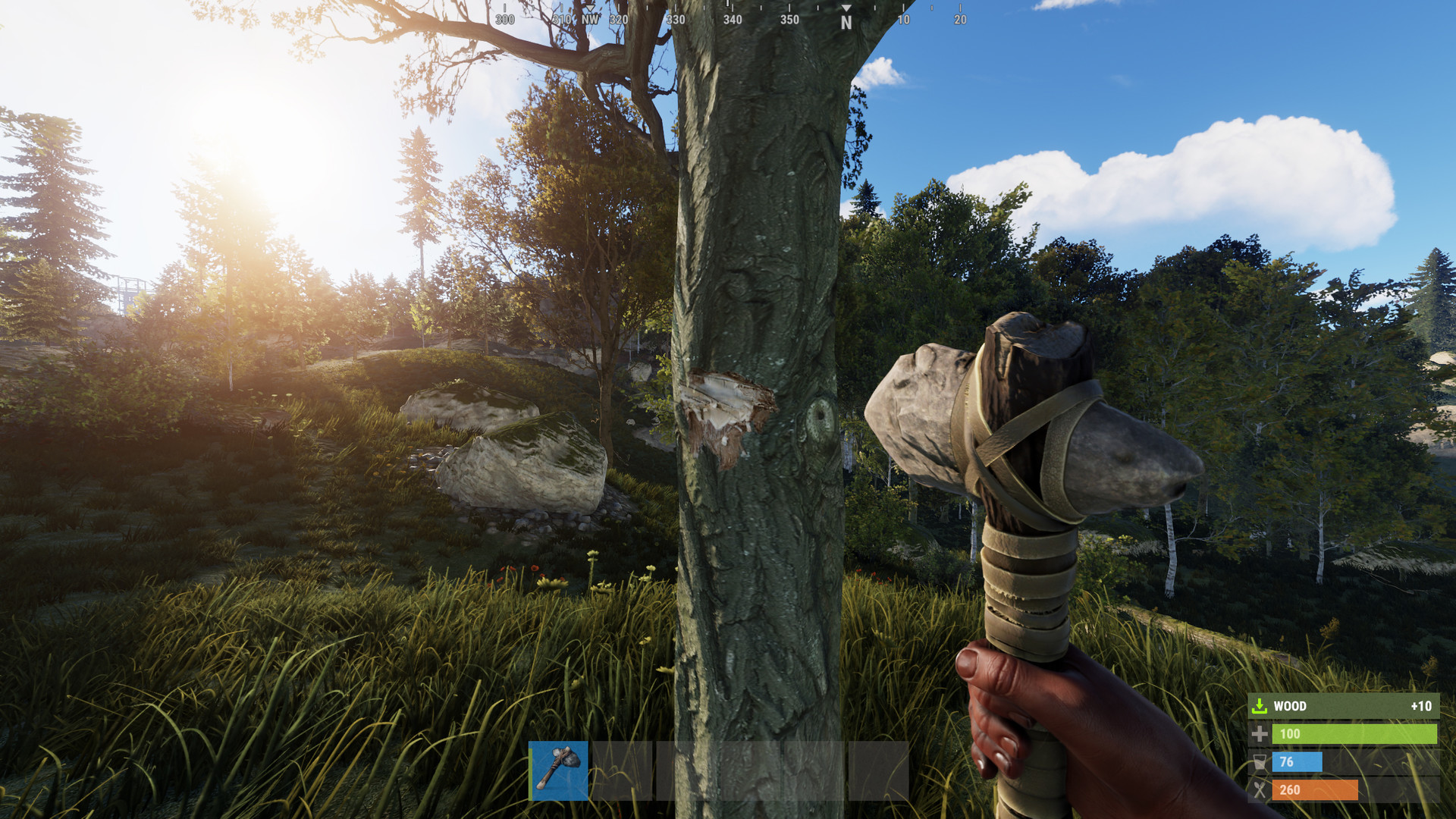rust steam rust steam