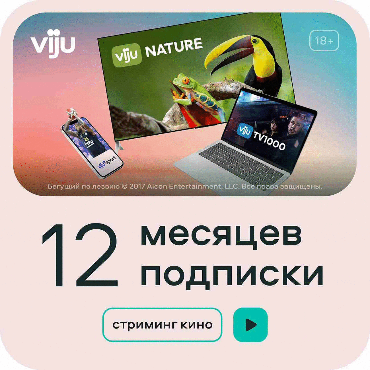 Buy VIJU.RU - subscription immediately for 12 months to any cheap ...